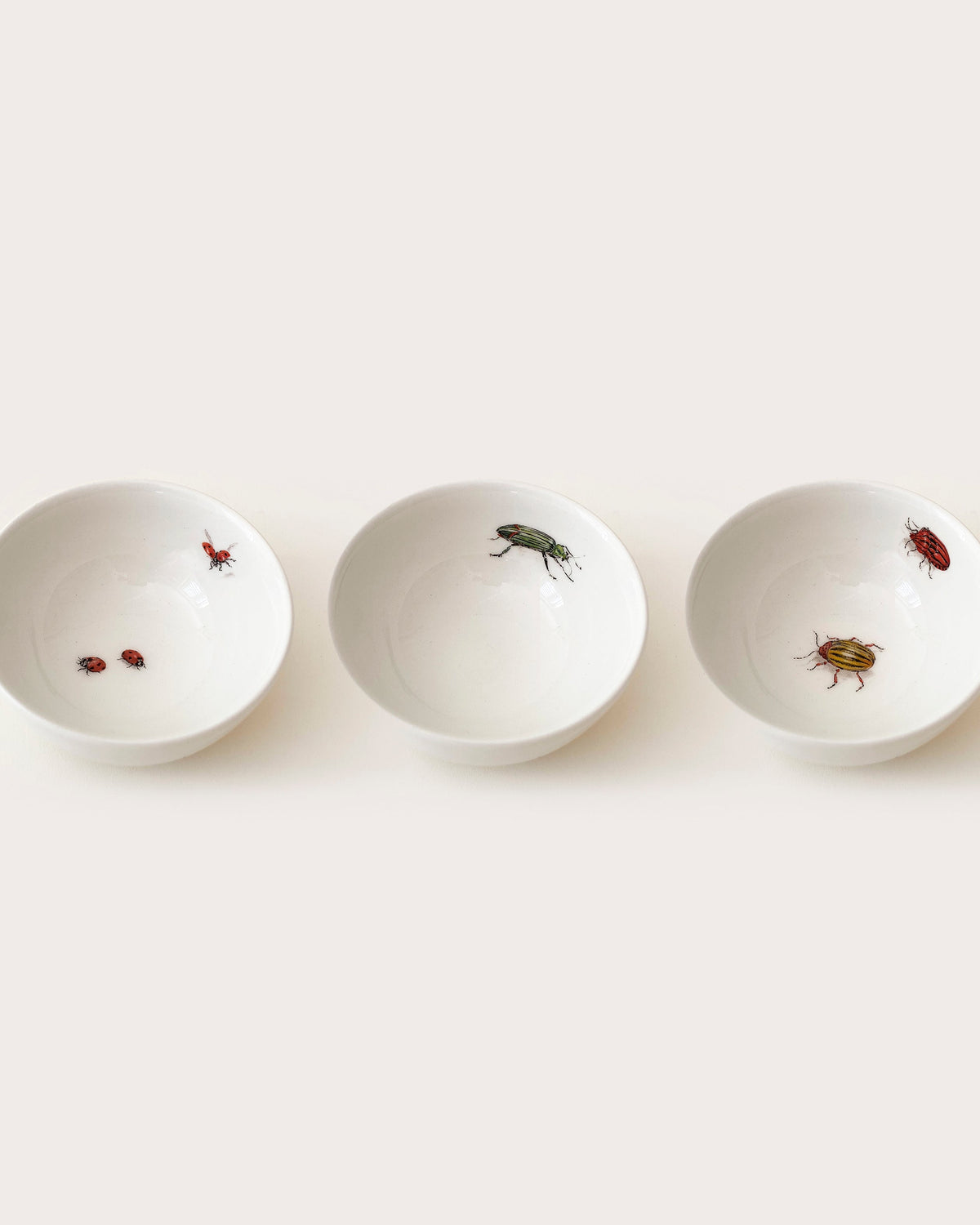 Bug Trompe L'oeil Tiny Bowl, Gohar World – alternate view
