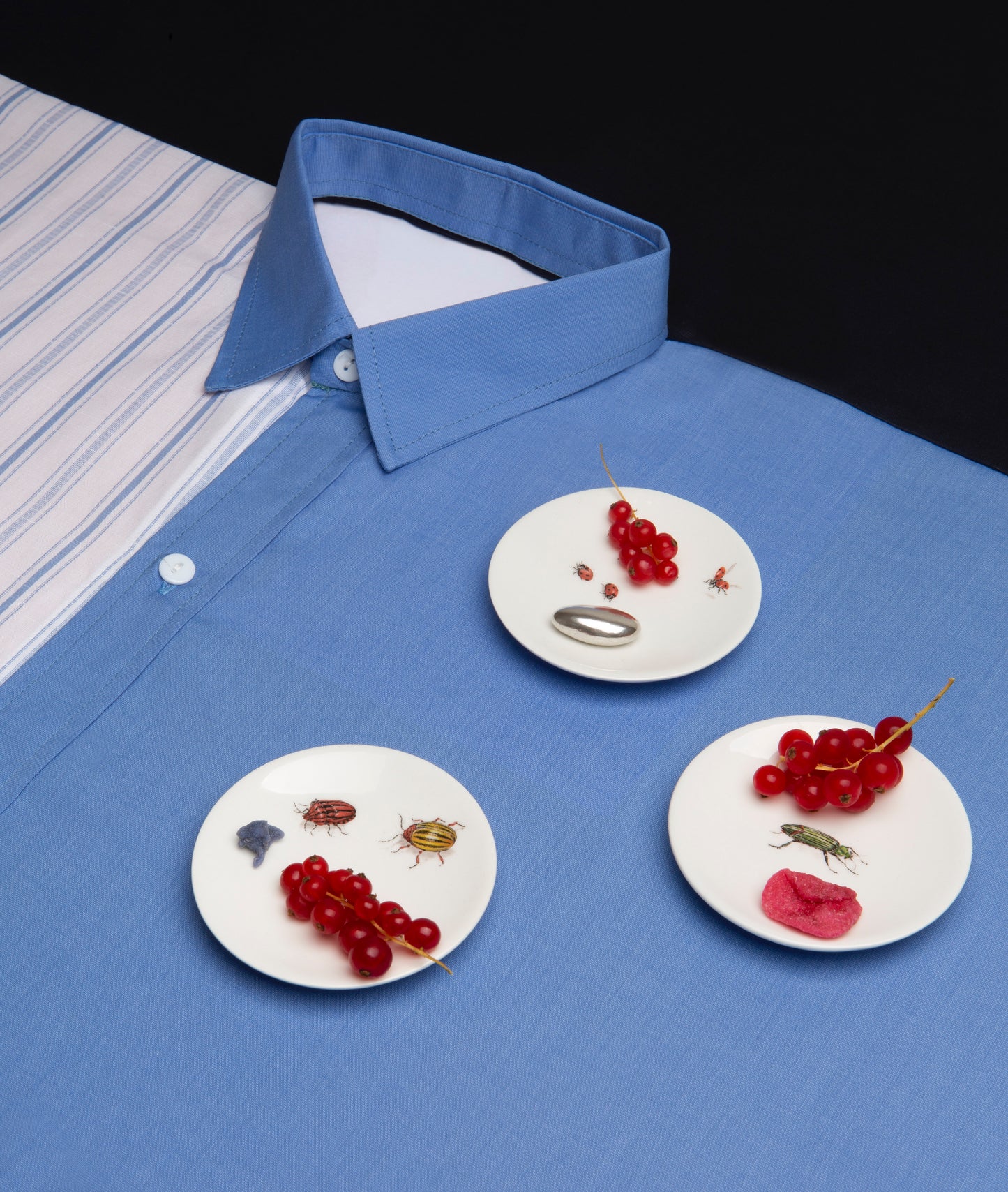 Shirt Tablecloth II