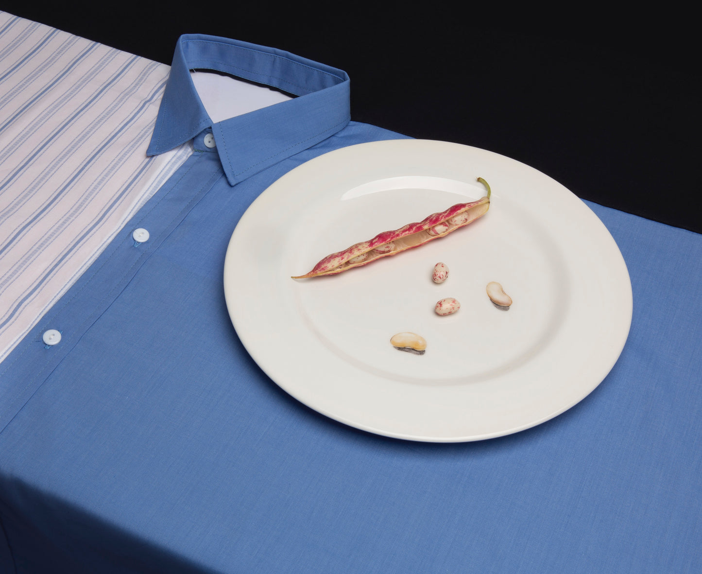 Shirt Tablecloth II