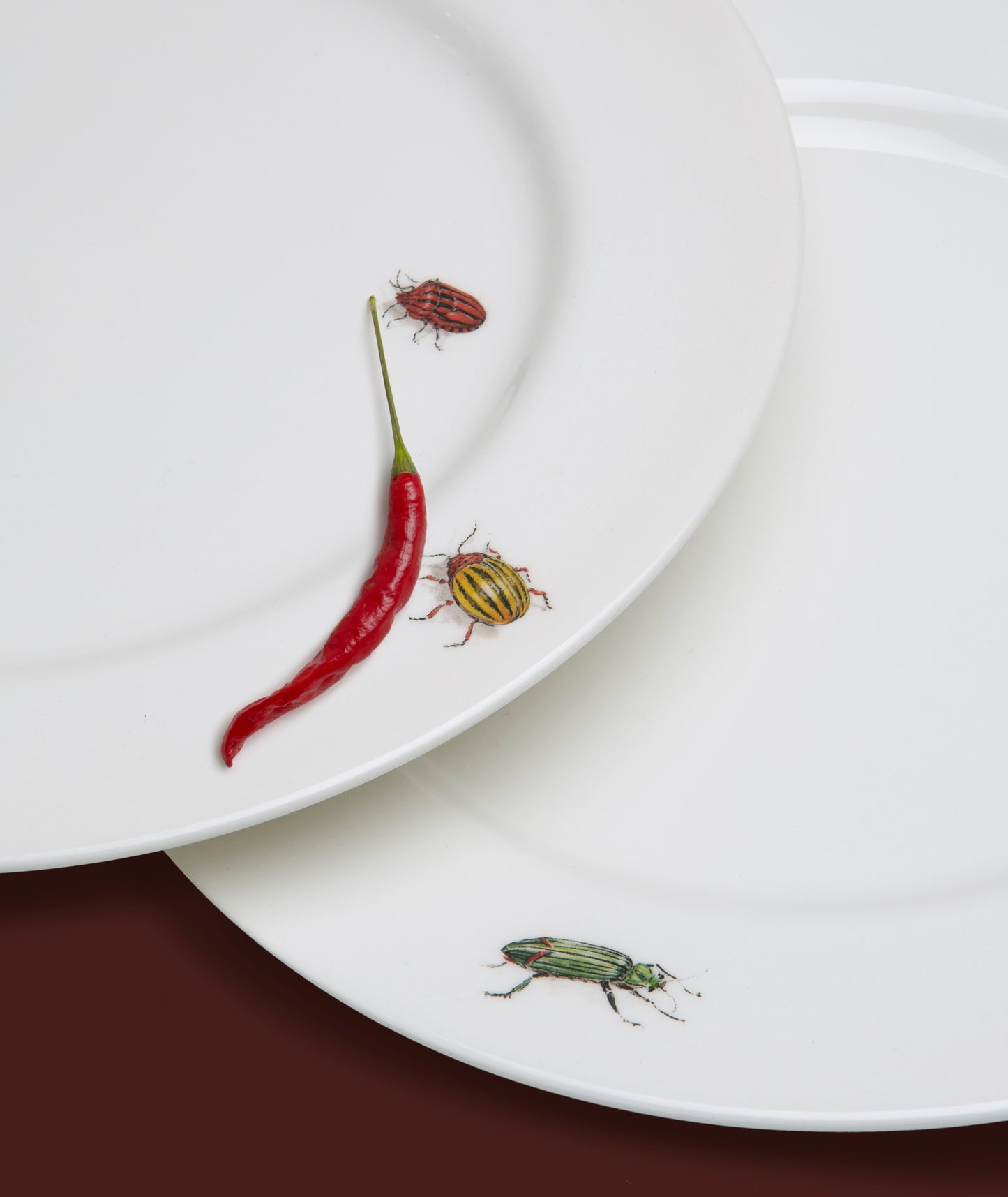 Dinner Plate, Bug Trompe L'oeil