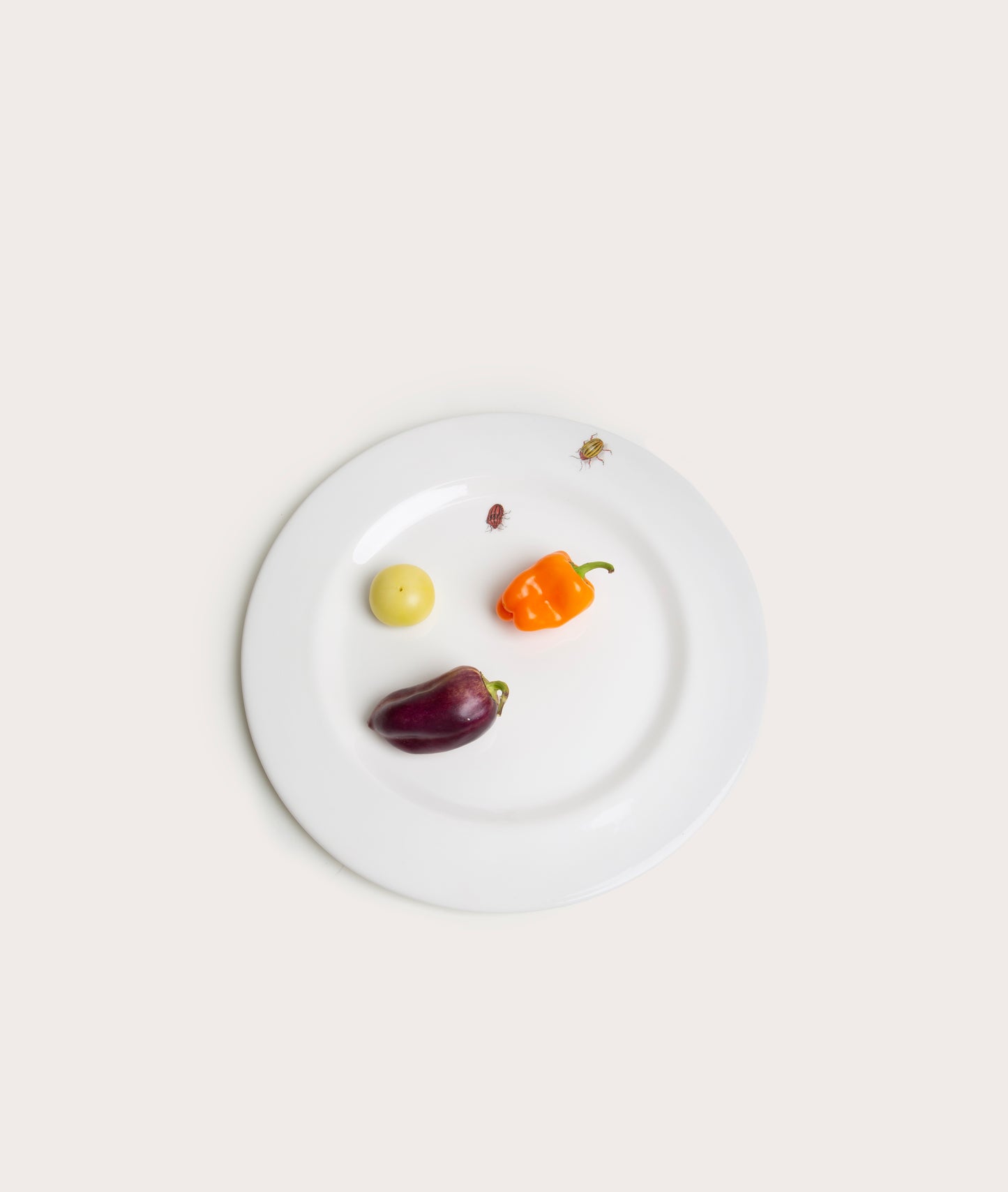 Dessert Plate with Bug Trompe L'oeil