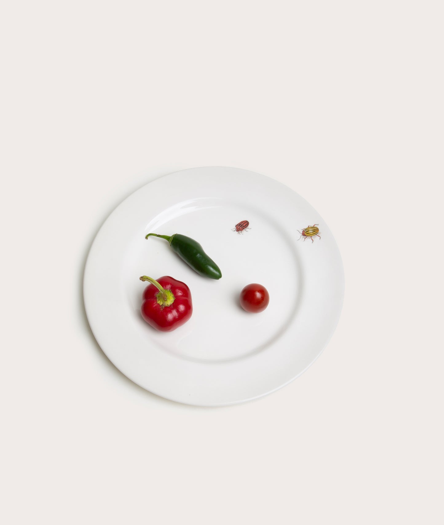 Dessert Plate with Bug Trompe L'oeil