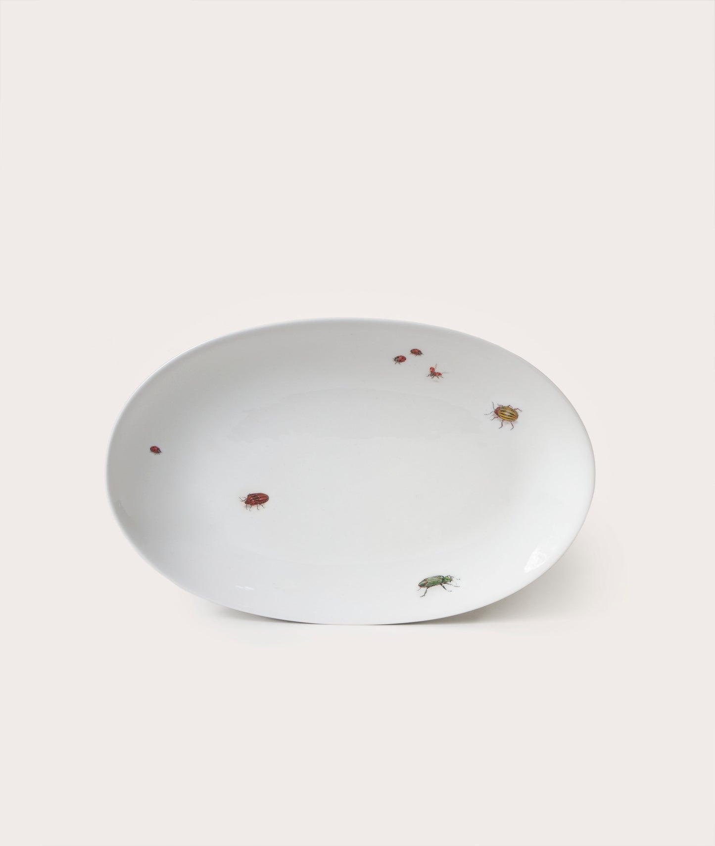 Oval Serving Plate with Bug Trompe L'Oeil