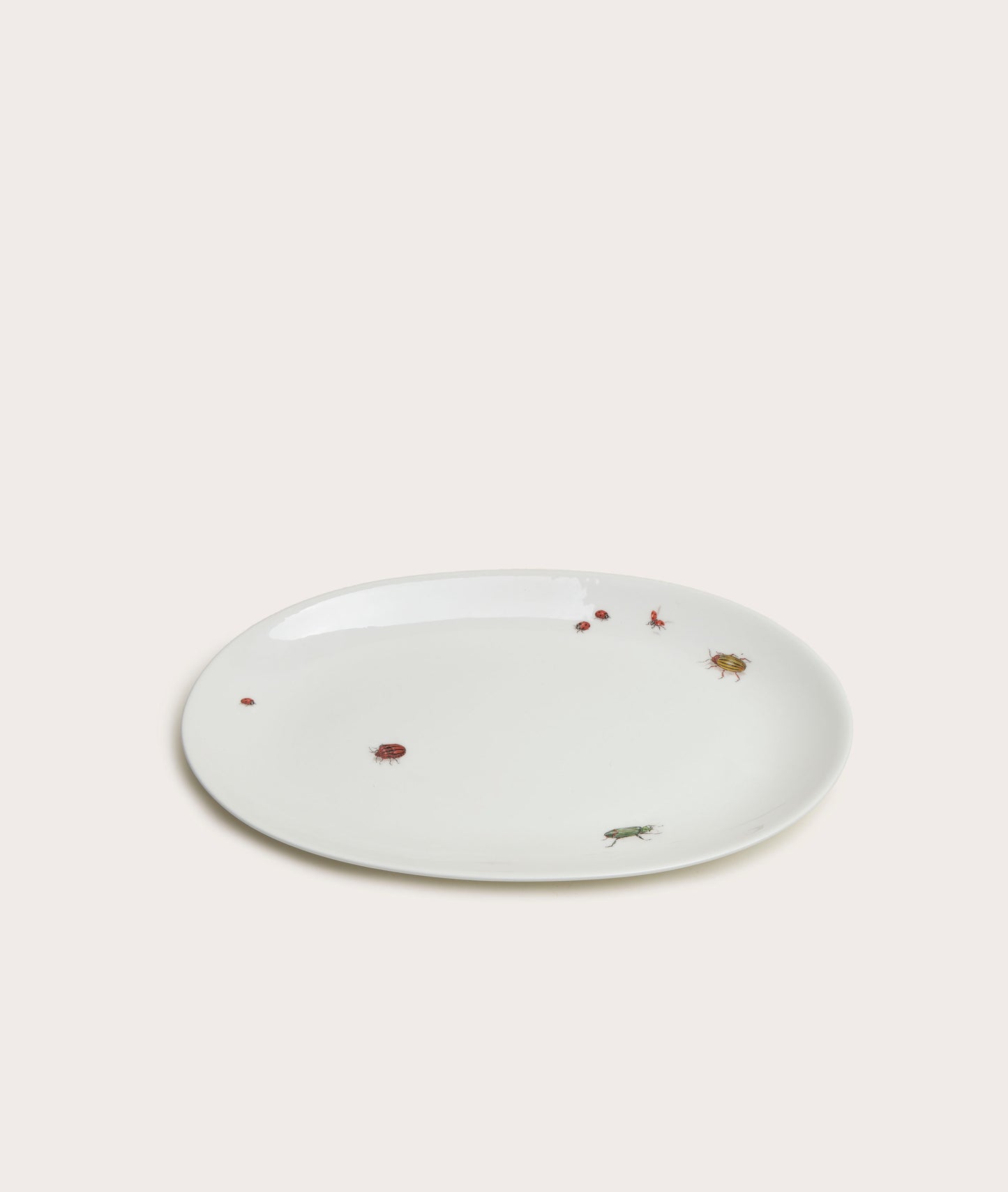 Oval Serving Plate with Bug Trompe L'Oeil