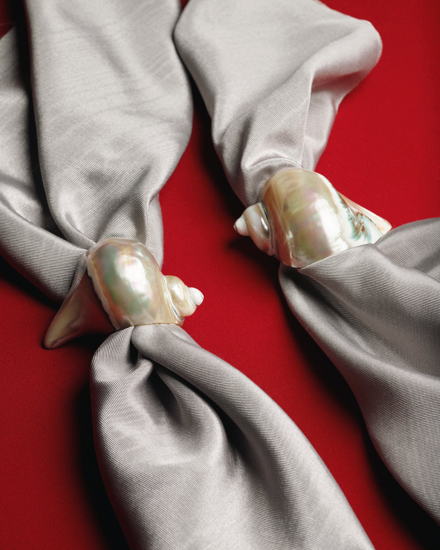 Napkin Rings, Shell
