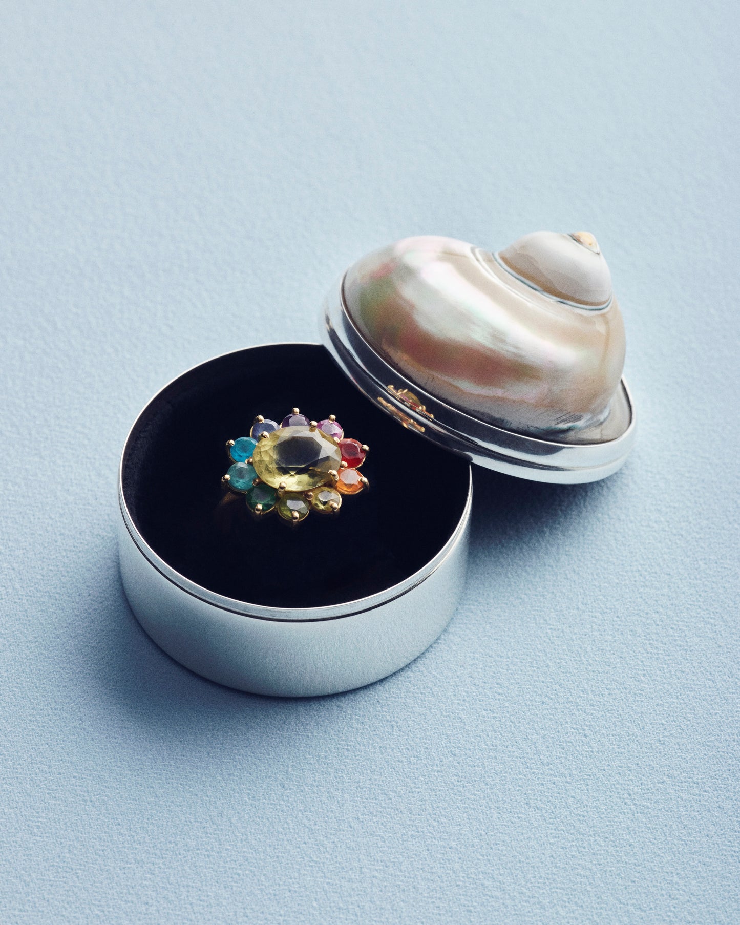 Jewelry Box, Shell