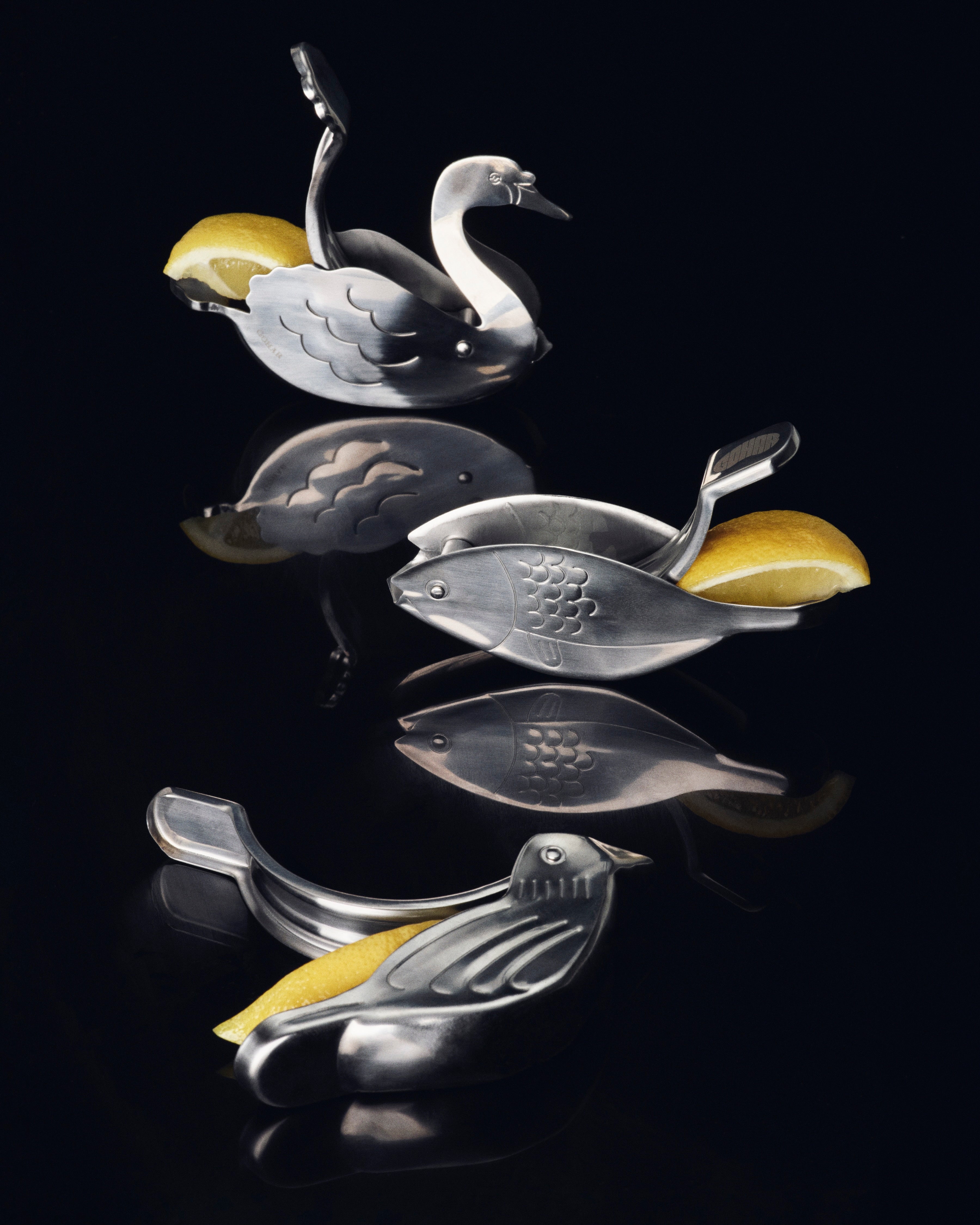 ボール bird Jr Lemon Squeezer, Bird – Gohar World