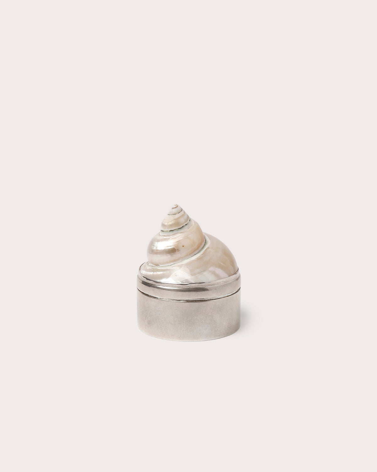 Jewelry Box, Shell