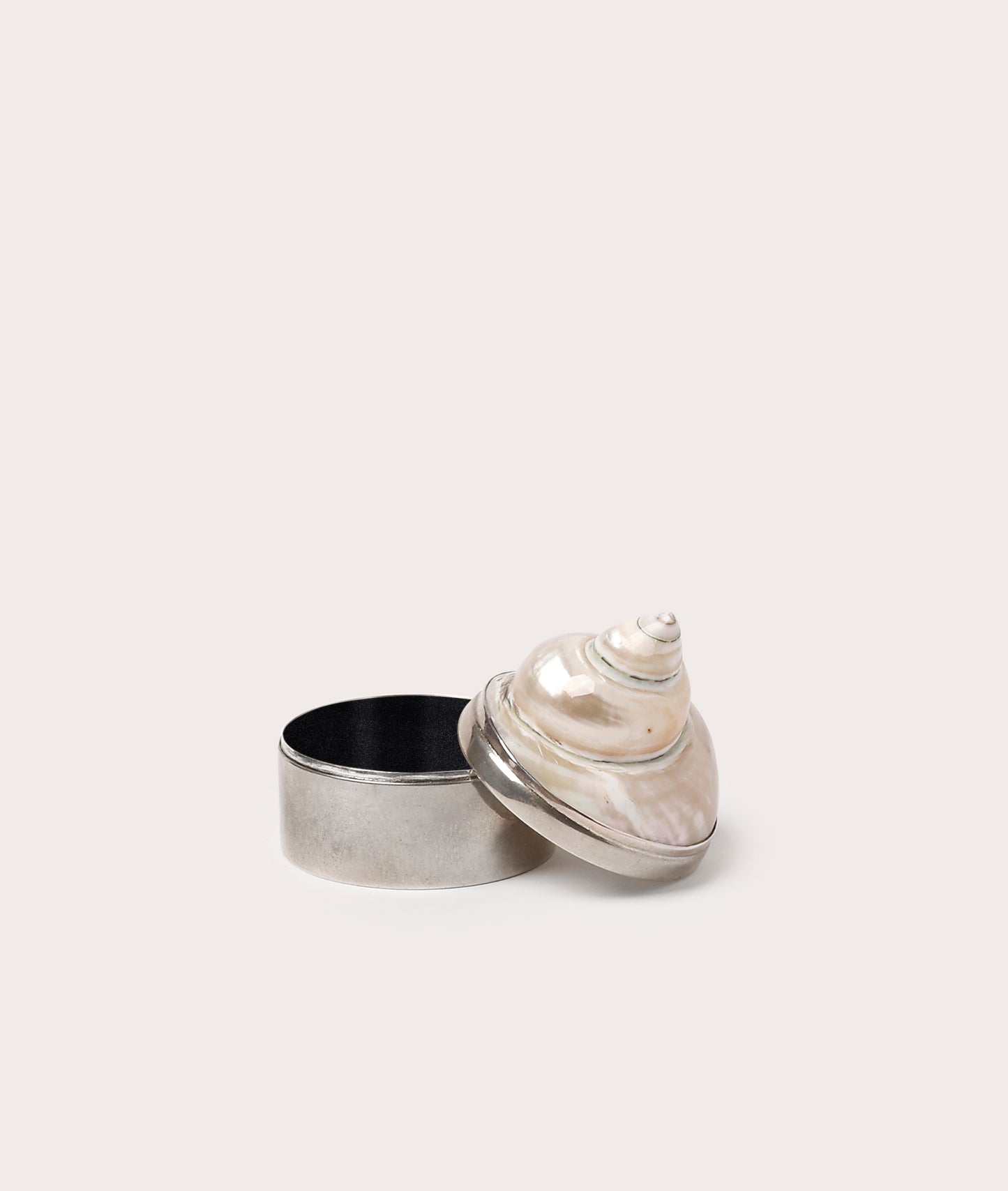 Jewelry Box, Shell