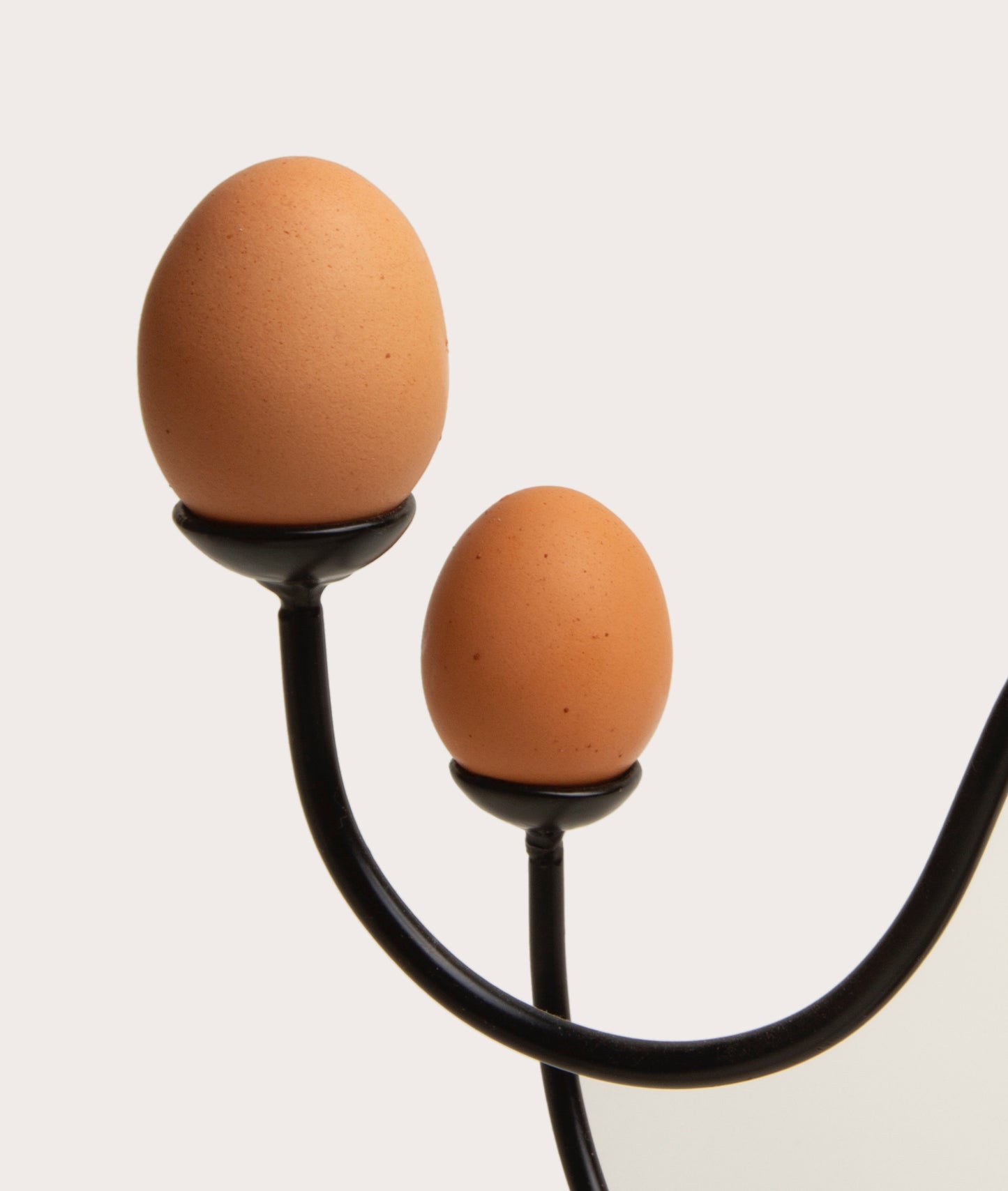 Egg Chandelier