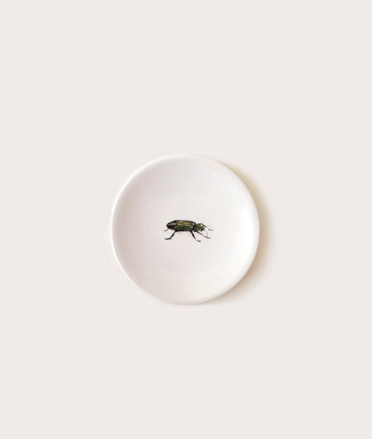 Tiny Plate with Bug Trompe L'oeil