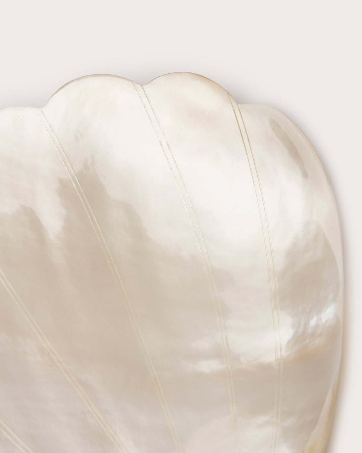 Clam Dish, Mother Of Pearl