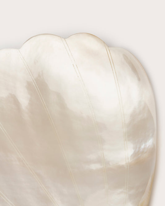 Clam Dish, Mother Of Pearl