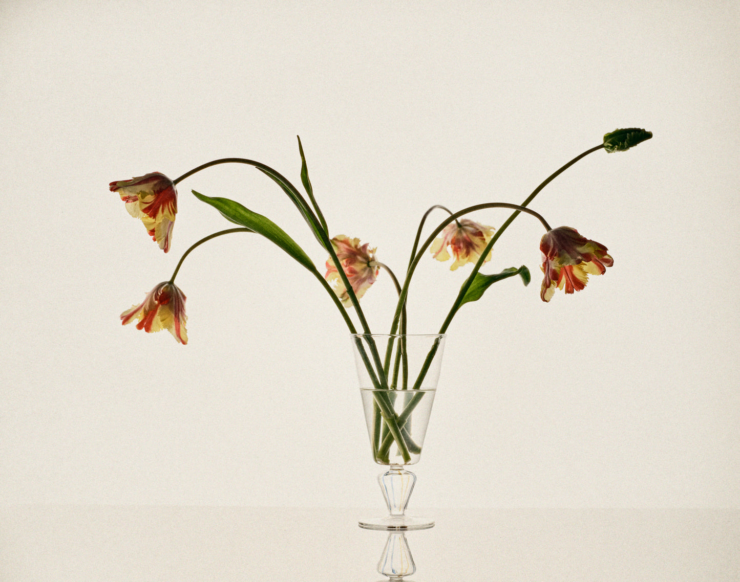 Vase, Tangier