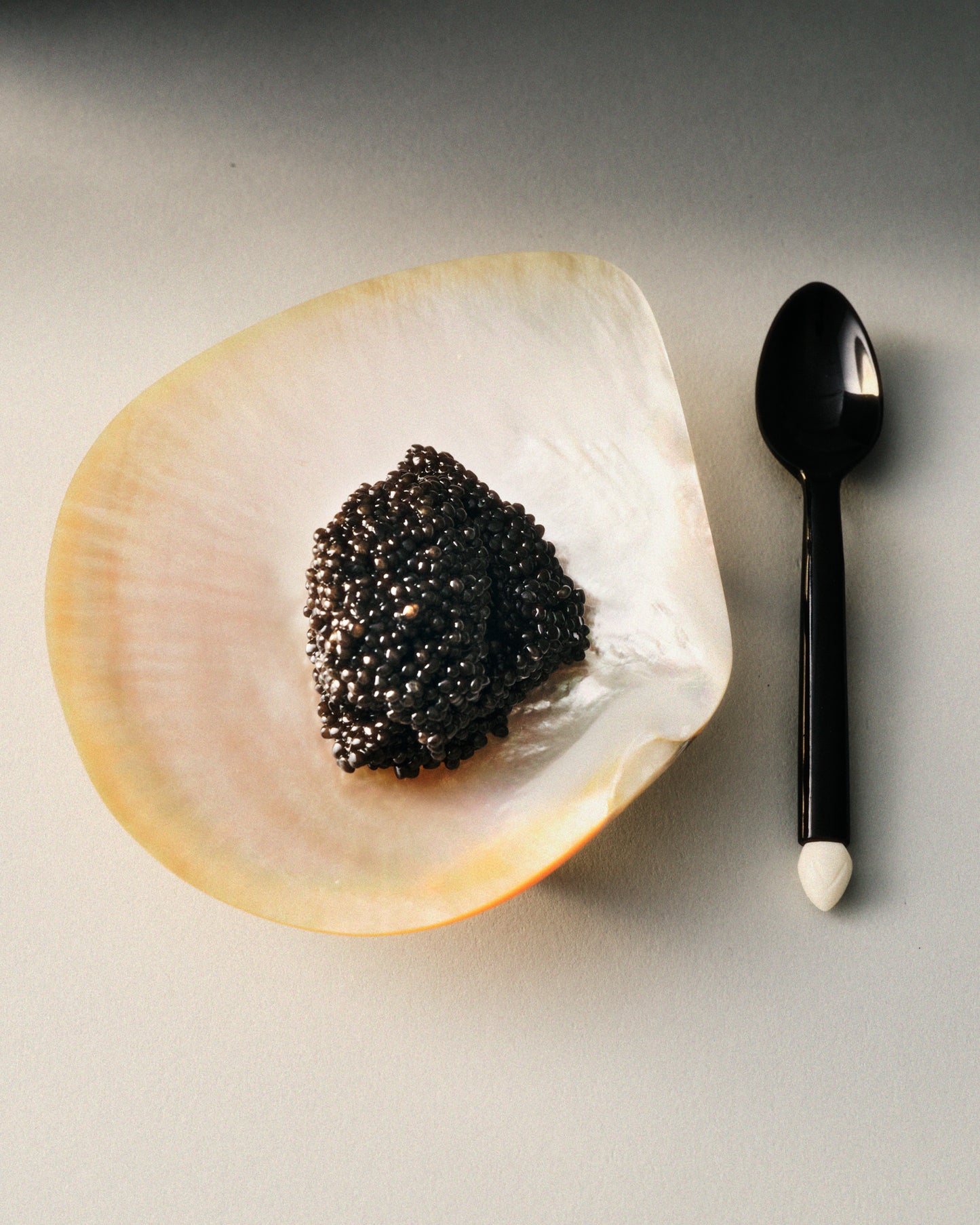 Caviar Set, Horn and Mother of Pearl
