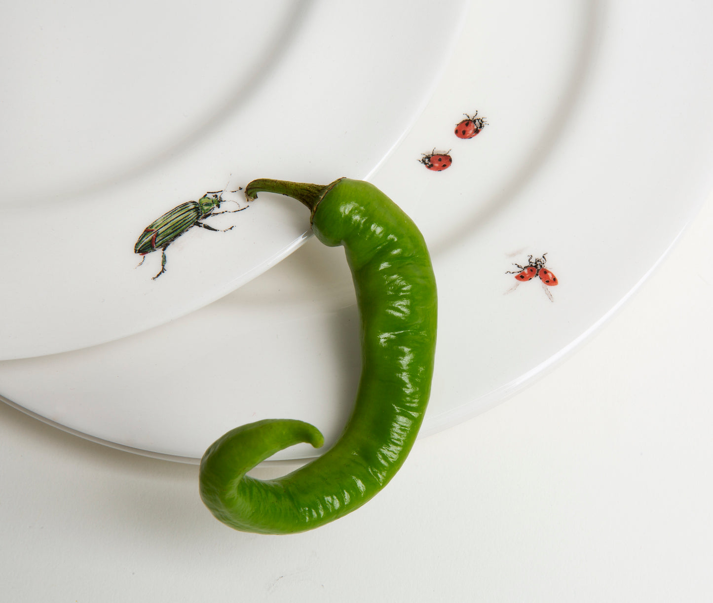 Dinner Plate with Bug Trompe L'oeil
