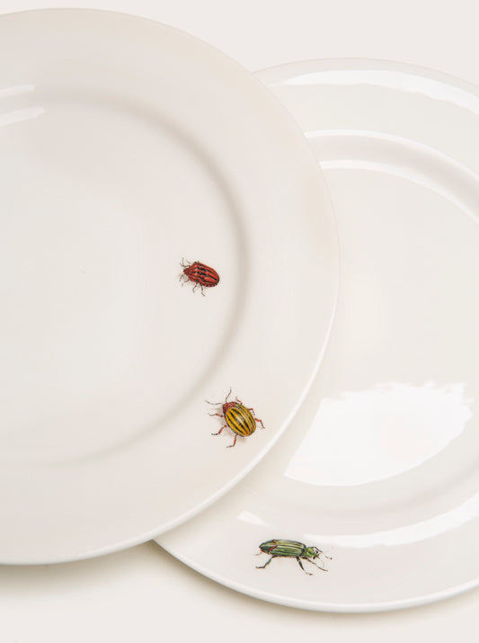 Dinner Plate with Bug Trompe L'oeil