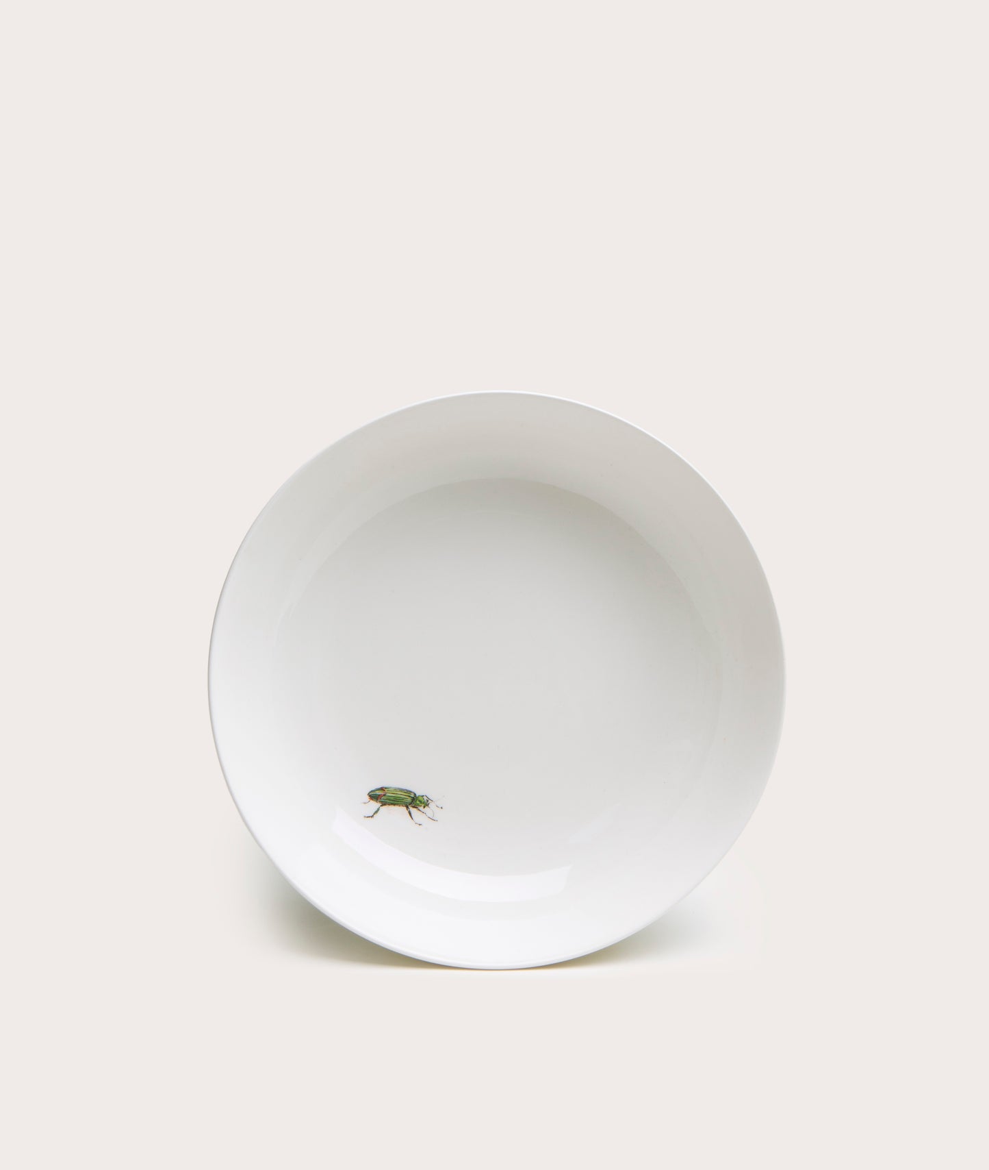 Bowl with Bug Trompe L'oeil