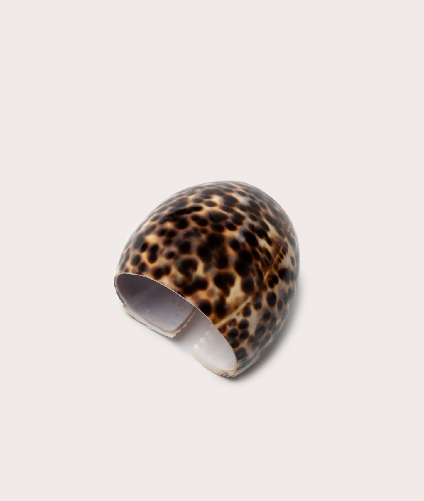 Napkin Ring, Cowrie Shell - Pair