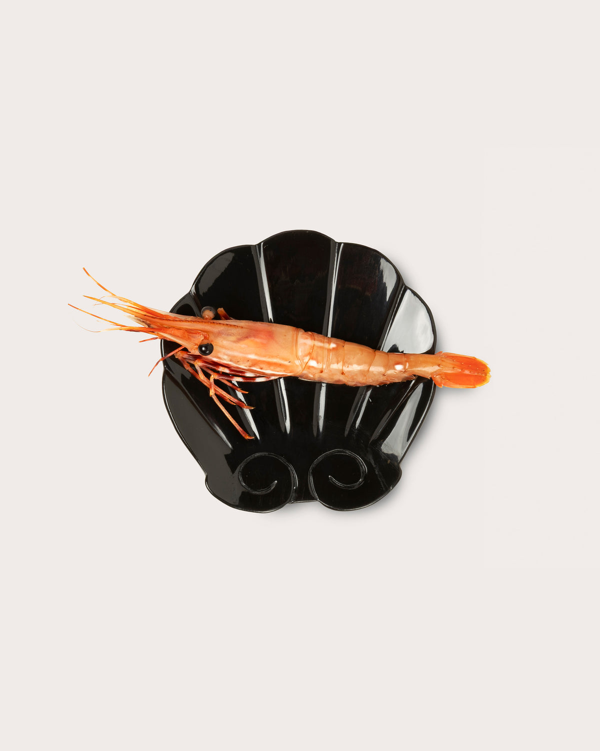 Scallop Dish, Horn