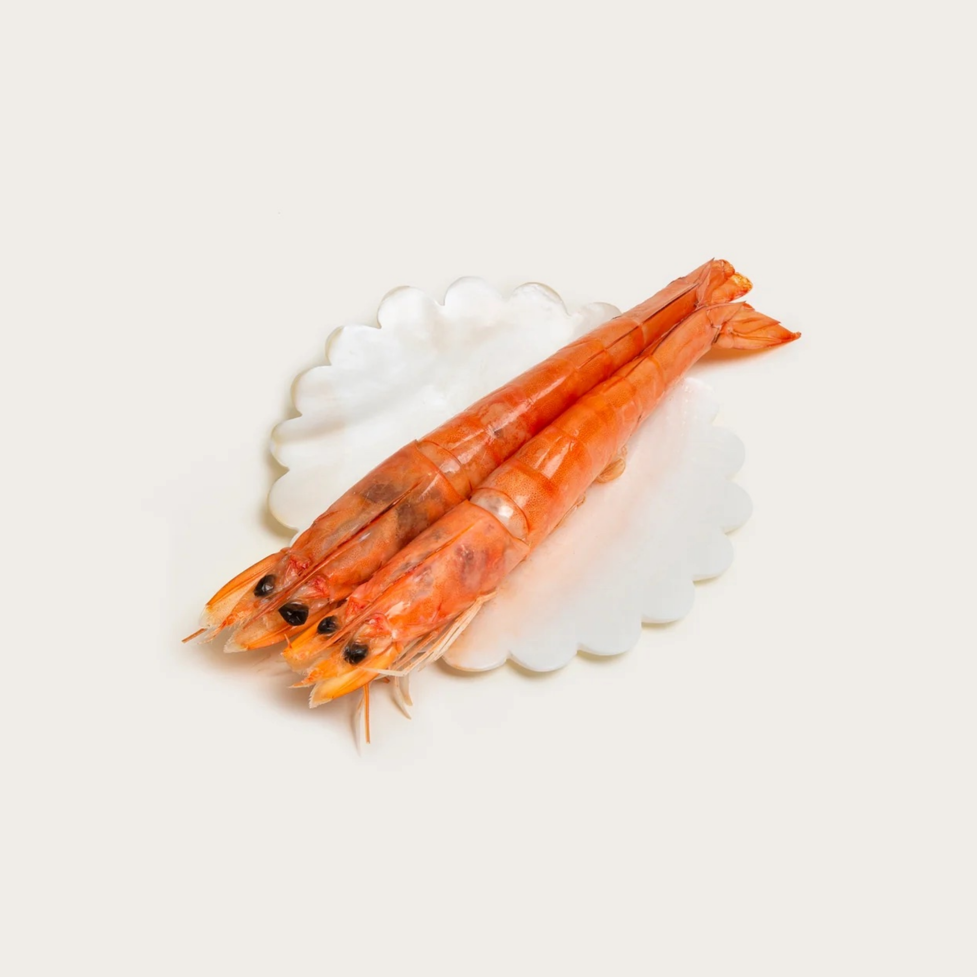 Products – Gohar World