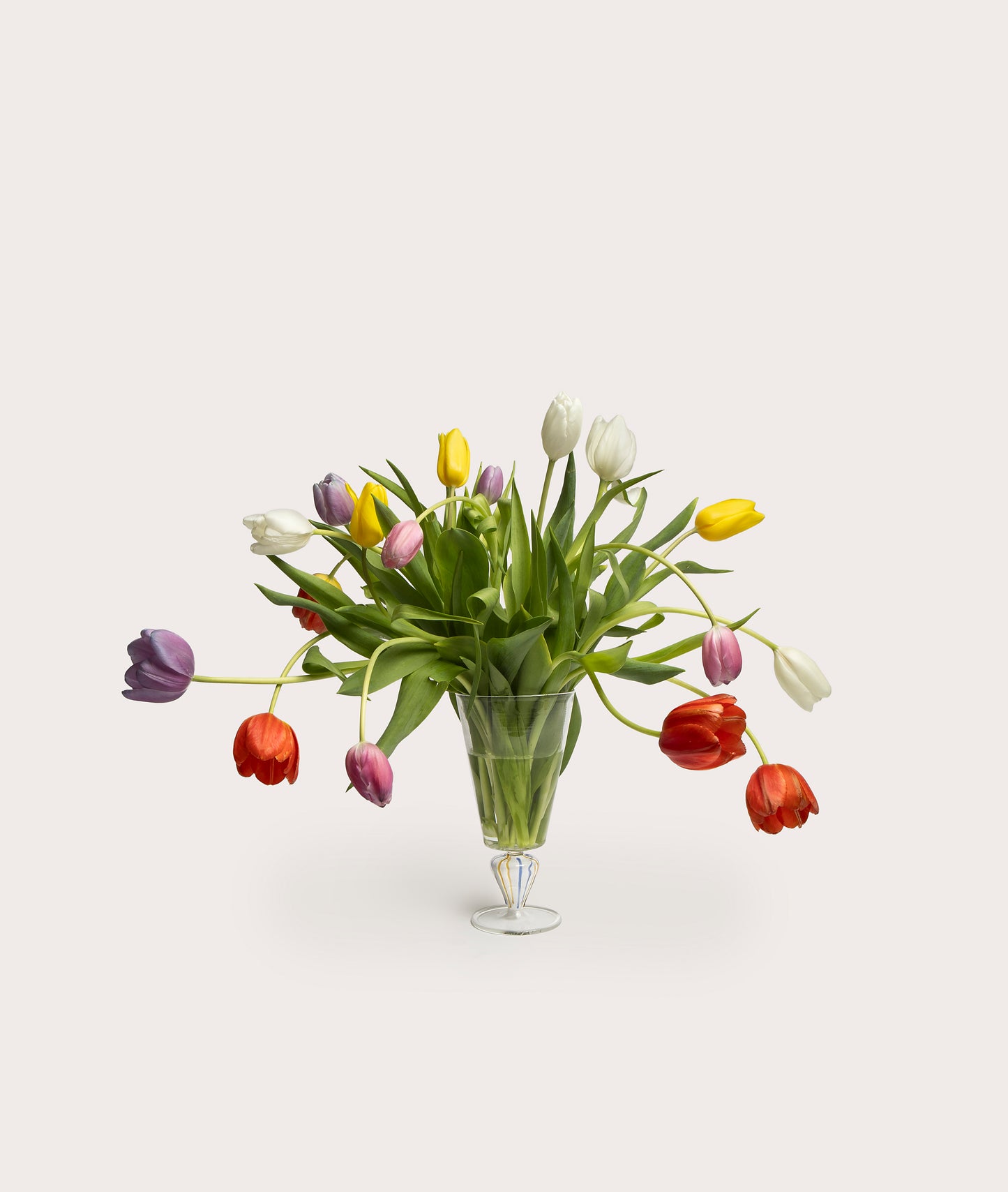 Vase, Tangier